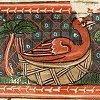 Medieval Bestiary: Nightingale