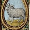 Sign of the Zodiac in March: Ram
