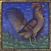 Bartholomaeus Anglicus: Cock